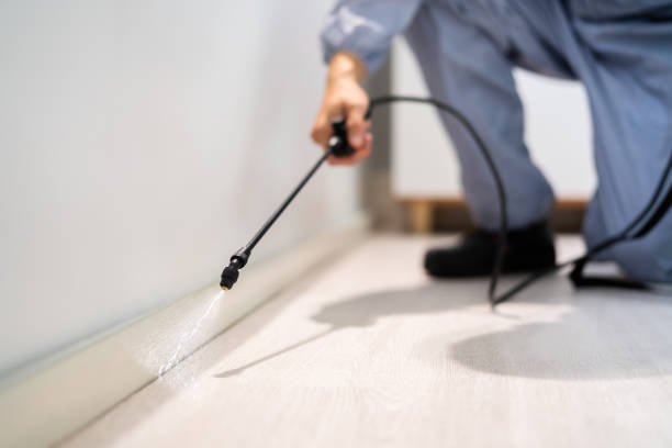 Licensed Pest Control service in Alamo Heights, TX - Show Me Pest Control