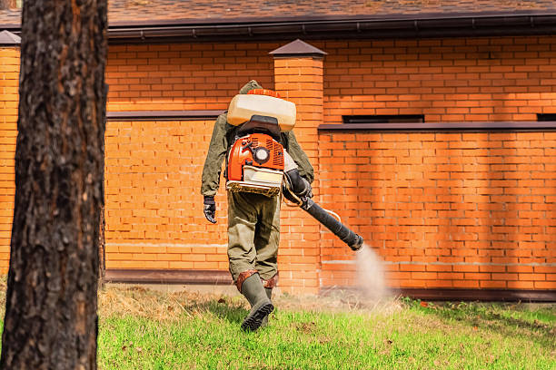 Bed Bug Clearance Verification and Documentation in Alamo Heights